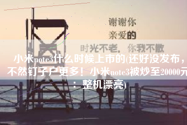 小米note3什么时候上市的(还好没发布，不然钉子户更多！小米note3被炒至20000元：整机漂亮)