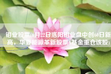钼业股票(6月22日洛阳钼业盘中创60日新高，华夏能源革新股票A基金重仓该股)
