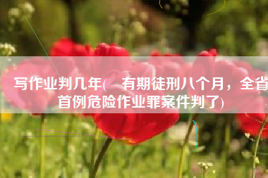 写作业判几年(​有期徒刑八个月，全省首例危险作业罪案件判了)