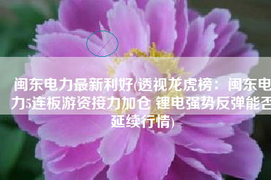 闽东电力最新利好(透视龙虎榜：闽东电力5连板游资接力加仓 锂电强势反弹能否延续行情)