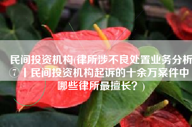 民间投资机构(律所涉不良处置业务分析⑦丨民间投资机构起诉的十余万案件中 哪些律所最擅长？)