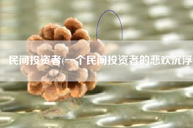 民间投资者(一个民间投资者的悲欢沉浮)