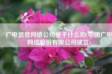 广电信息网络公司是干什么的(中国广电网络股份有限公司成立)