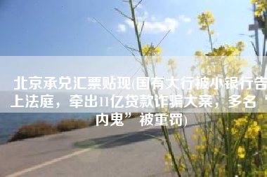 北京承兑汇票贴现(国有大行被小银行告上法庭，牵出11亿贷款诈骗大案，多名“内鬼”被重罚)