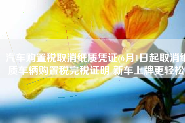 汽车购置税取消纸质凭证(6月1日起取消纸质车辆购置税完税证明 新车上牌更轻松)