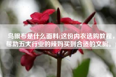 鸟眼布是什么面料(这份内衣选购教程，帮助五大行业的辣妈买到合适的文胸。)