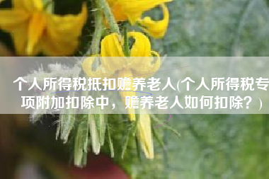 个人所得税抵扣赡养老人(个人所得税专项附加扣除中，赡养老人如何扣除？)