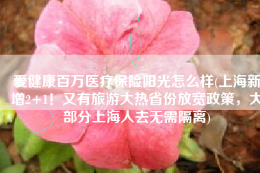爱健康百万医疗保险阳光怎么样(上海新增2+1！又有旅游大热省份放宽政策，大部分上海人去无需隔离)