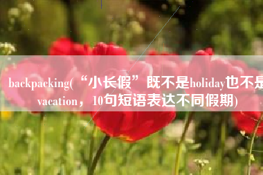 backpacking(“小长假”既不是holiday也不是vacation，10句短语表达不同假期)