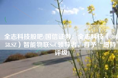 全志科技股吧(国信证券：全志科技（300458.SZ）智能物联SoC领导者，首予“增持”评级)