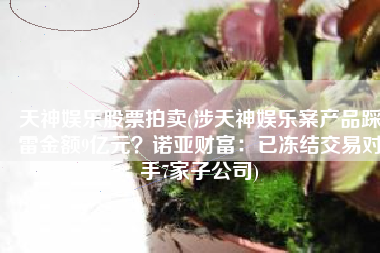 天神娱乐股票拍卖(涉天神娱乐案产品踩雷金额9亿元？诺亚财富：已冻结交易对手7家子公司)