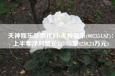 天神娱乐股票代码(天神娱乐(002354.SZ)：上半年净利增长123.7%至4259.24万元)