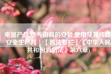 电器产品,燃气用具的安装,使用及其线路(安全生产月 | 【普法专栏】《中华人民共和国消防法》第六章)