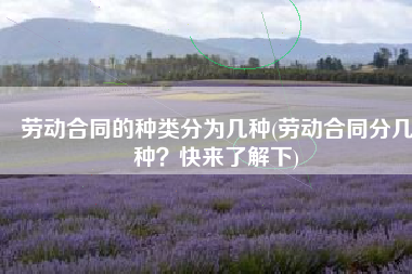 劳动合同的种类分为几种(劳动合同分几种？快来了解下)