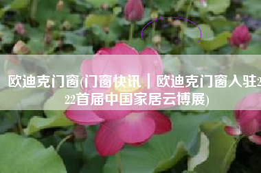 欧迪克门窗(门窗快讯｜欧迪克门窗入驻2022首届中国家居云博展)