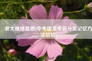 老大难啥意思(中考语文字音分类记忆方法总结)