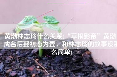 黄渤林志玲什么关系(“草根影帝”黄渤：成名后娶初恋为妻，和林志玲的故事没那么简单)