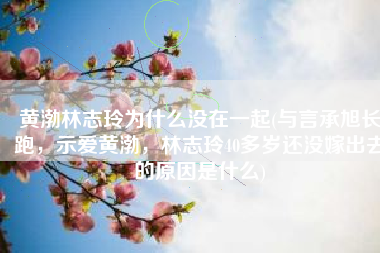 黄渤林志玲为什么没在一起(与言承旭长跑，示爱黄渤，林志玲40多岁还没嫁出去的原因是什么)