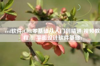 crd软件(CDR零基础从入门到精通(视频教程)！平面设计软件基础)