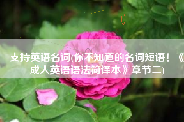 支持英语名词(你不知道的名词短语！《成人英语语法简译本》章节二)