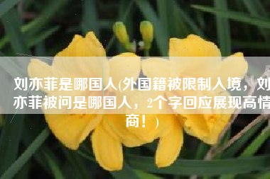 刘亦菲是哪国人(外国籍被限制入境，刘亦菲被问是哪国人，2个字回应展现高情商！)