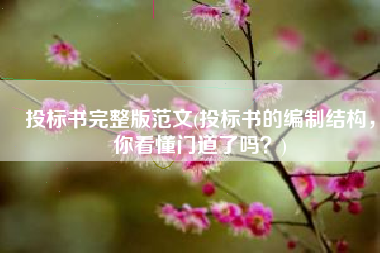 投标书完整版范文(投标书的编制结构，你看懂门道了吗？)