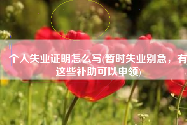 个人失业证明怎么写(暂时失业别急，有这些补助可以申领)