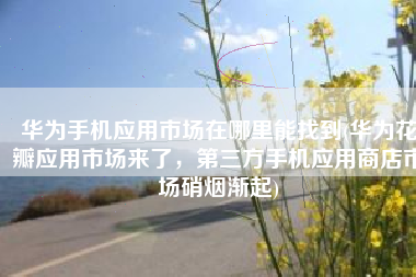 华为手机应用市场在哪里能找到(华为花瓣应用市场来了，第三方手机应用商店市场硝烟渐起)