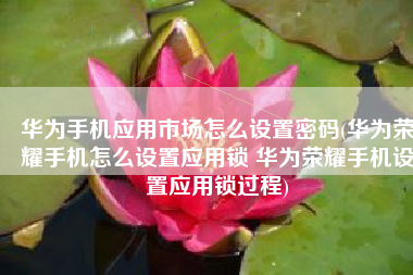 华为手机应用市场怎么设置密码(华为荣耀手机怎么设置应用锁 华为荣耀手机设置应用锁过程)
