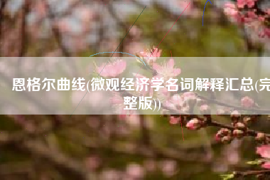 恩格尔曲线(微观经济学名词解释汇总(完整版))