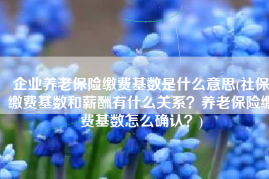 企业养老保险缴费基数是什么意思(社保缴费基数和薪酬有什么关系？养老保险缴费基数怎么确认？)