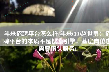 斗米招聘平台怎么样(斗米CEO赵世勇：招聘平台的本质不是搜索引擎，基层岗位也需要猎头服务)