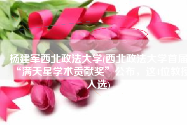 杨建军西北政法大学(西北政法大学首届“满天星学术贡献奖”公布，这4位教授入选)