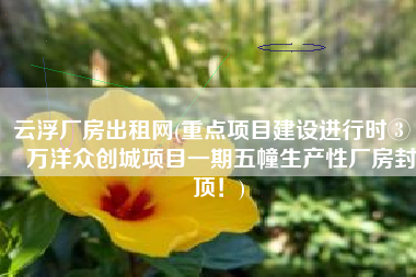 云浮厂房出租网(重点项目建设进行时③ | 万洋众创城项目一期五幢生产性厂房封顶！)