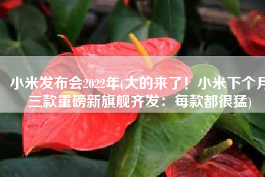 小米发布会2022年(大的来了！小米下个月三款重磅新旗舰齐发：每款都很猛)