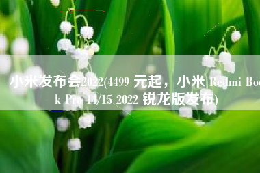 小米发布会2022(4499 元起，小米 Redmi Book Pro 14/15 2022 锐龙版发布)