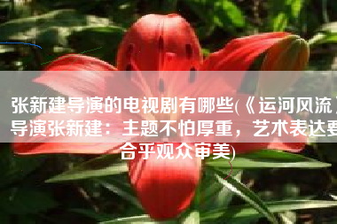 张新建导演的电视剧有哪些(《运河风流》导演张新建：主题不怕厚重，艺术表达要合乎观众审美)
