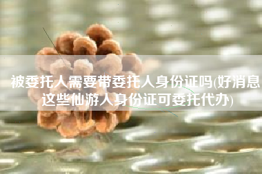 被委托人需要带委托人身份证吗(好消息！这些仙游人身份证可委托代办)