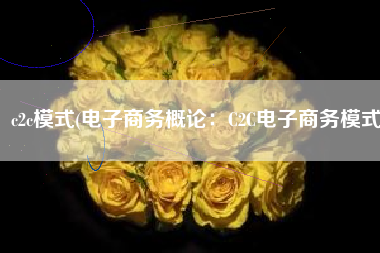 c2c模式(电子商务概论：C2C电子商务模式)