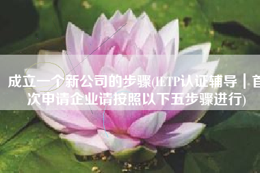 成立一个新公司的步骤(IETP认证辅导｜首次申请企业请按照以下五步骤进行)