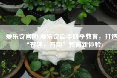 爱乐奇官网(爱乐奇牵手四季教育，打造“有趣，有用”教育新体验)