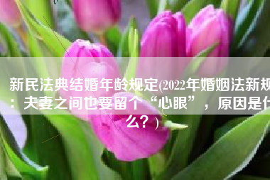 新民法典结婚年龄规定(2022年婚姻法新规：夫妻之间也要留个“心眼”，原因是什么？)