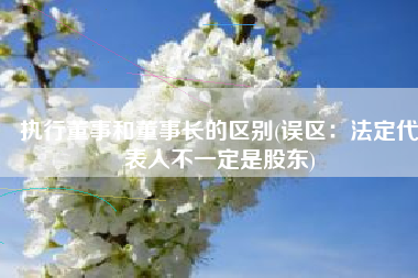 执行董事和董事长的区别(误区：法定代表人不一定是股东)