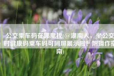 公交乘车码在哪里找(@湖南人，坐公交时健康码乘车码可同屏展示啦！附操作指南)