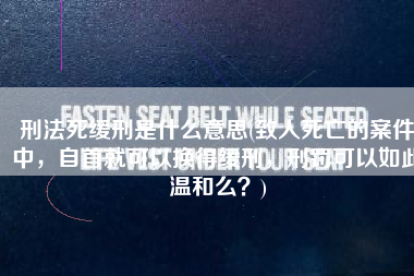 刑法死缓刑是什么意思(致人死亡的案件中，自首就可以换得缓刑，刑罚可以如此温和么？)