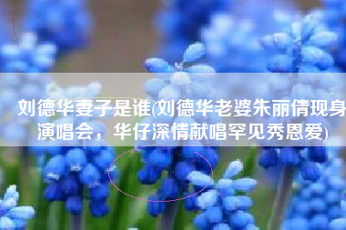 刘德华妻子是谁(刘德华老婆朱丽倩现身演唱会，华仔深情献唱罕见秀恩爱)