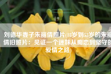 刘德华妻子朱丽倩照片(18岁到53岁的朱丽倩旧照片：见证一个迷妹从痴恋到坚守的爱情之路)