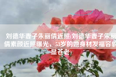 刘德华妻子朱丽倩近照(刘德华妻子朱丽倩素颜近照曝光，53岁的她身材发福容貌显苍老)