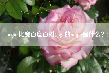 major比赛百度百科(csgo的major是什么？)