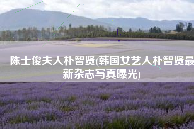 陈士俊夫人朴智贤(韩国女艺人朴智贤最新杂志写真曝光)